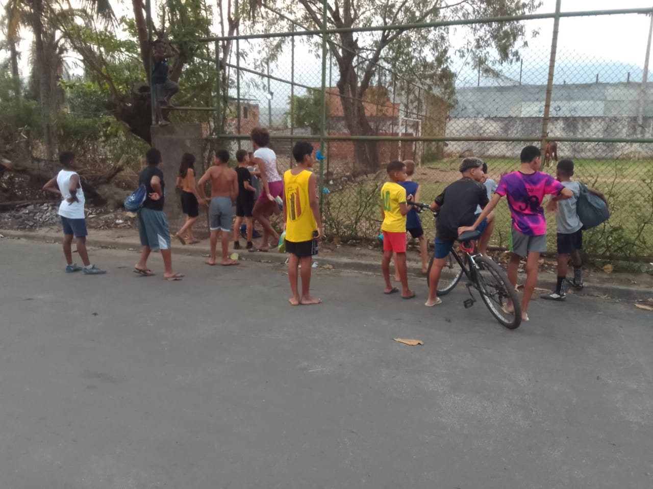 WhatsApp Image 2024-09-05 at 18.50.38.jpeg